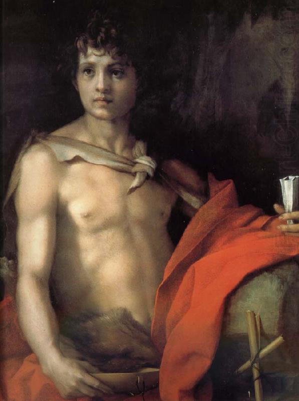Johannes as juvenile, Andrea del Sarto